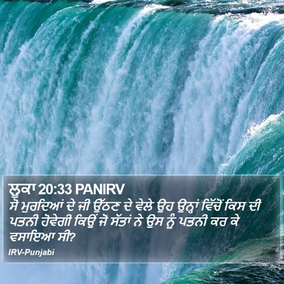 ਲੂਕਾ 20:33 PANIRV Bible Verse Image
