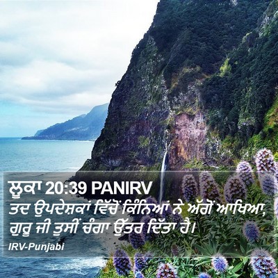 ਲੂਕਾ 20:39 PANIRV Bible Verse Image