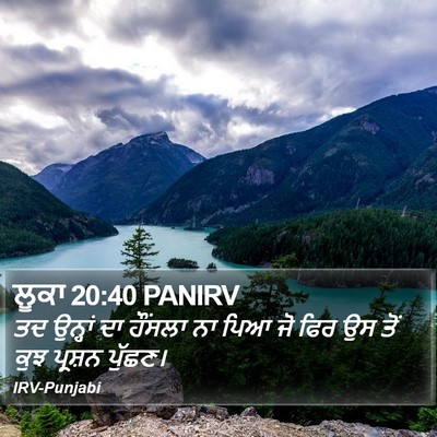 ਲੂਕਾ 20:40 PANIRV Bible Verse Image