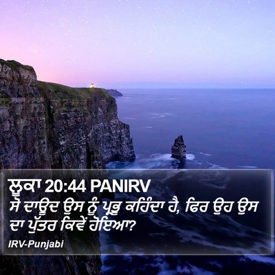 ਲੂਕਾ 20:44 PANIRV Bible Verse Image