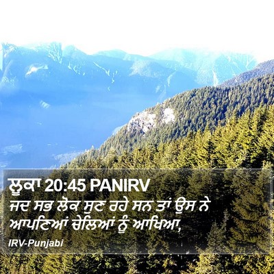 ਲੂਕਾ 20:45 PANIRV Bible Verse Image
