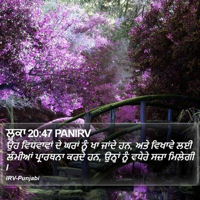 ਲੂਕਾ 20:47 PANIRV Bible Verse Image