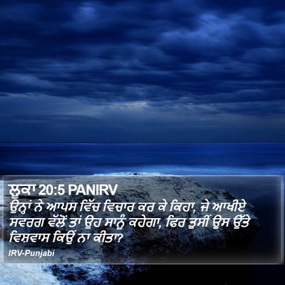 ਲੂਕਾ 20:5 PANIRV Bible Verse Image