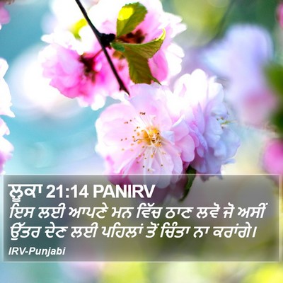 ਲੂਕਾ 21:14 PANIRV Bible Verse Image