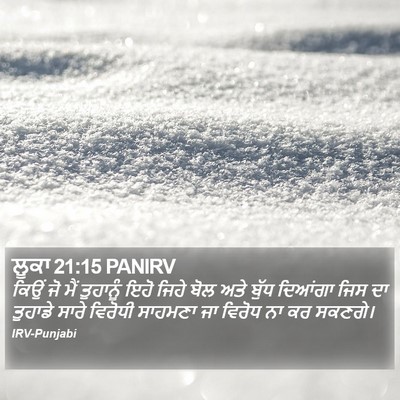 ਲੂਕਾ 21:15 PANIRV Bible Verse Image