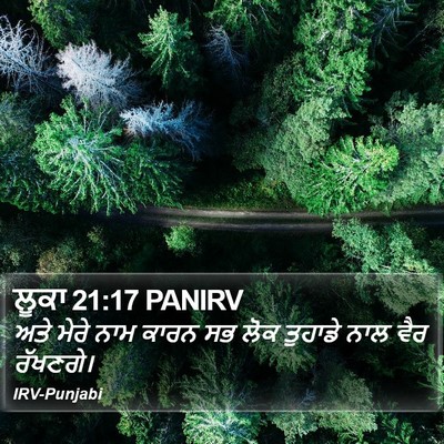 ਲੂਕਾ 21:17 PANIRV Bible Verse Image