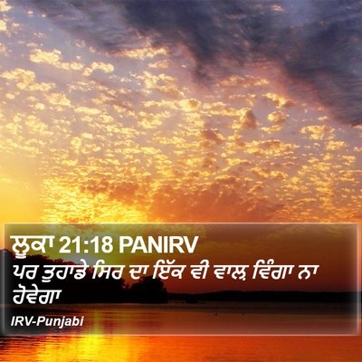 ਲੂਕਾ 21:18 PANIRV Bible Verse Image