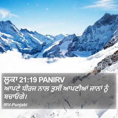 ਲੂਕਾ 21:19 PANIRV Bible Verse Image