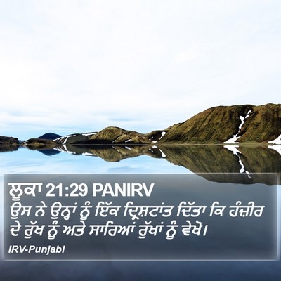 ਲੂਕਾ 21:29 PANIRV Bible Verse Image