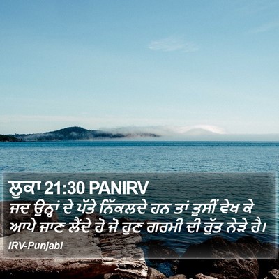 ਲੂਕਾ 21:30 PANIRV Bible Verse Image