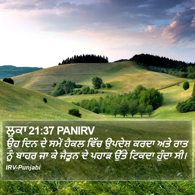 ਲੂਕਾ 21:37 PANIRV Bible Verse Image