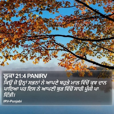ਲੂਕਾ 21:4 PANIRV Bible Verse Image