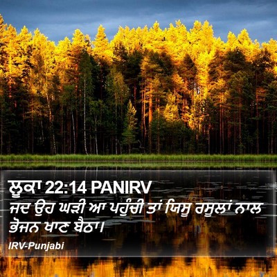 ਲੂਕਾ 22:14 PANIRV Bible Verse Image