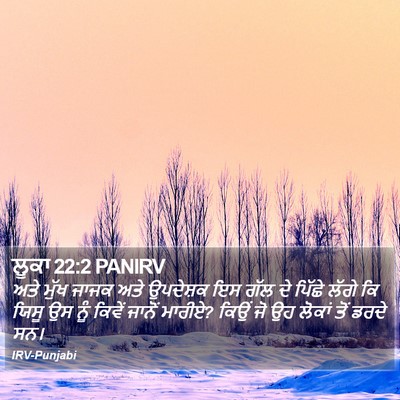 ਲੂਕਾ 22:2 PANIRV Bible Verse Image