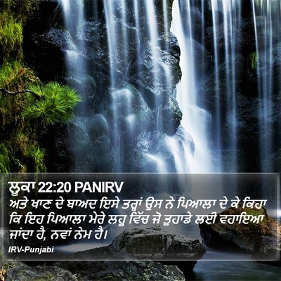 ਲੂਕਾ 22:20 PANIRV Bible Verse Image