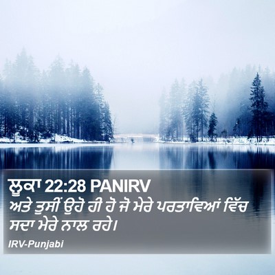 ਲੂਕਾ 22:28 PANIRV Bible Verse Image