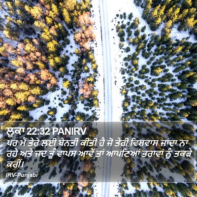 ਲੂਕਾ 22:32 PANIRV Bible Verse Image