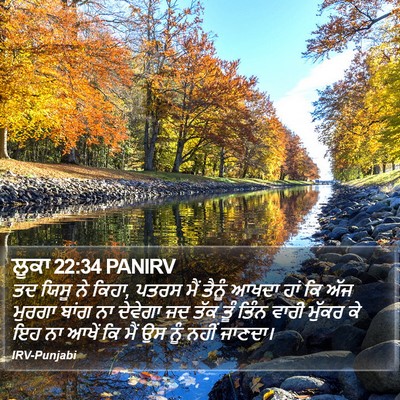 ਲੂਕਾ 22:34 PANIRV Bible Verse Image