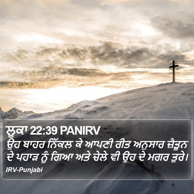 ਲੂਕਾ 22:39 PANIRV Bible Verse Image