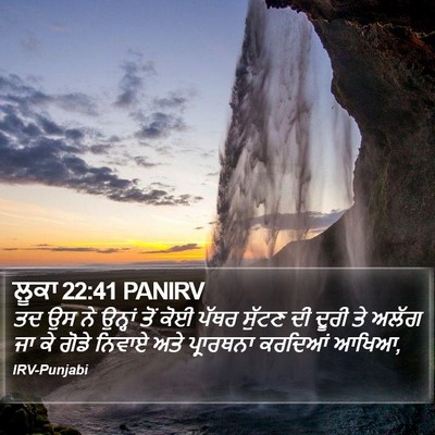ਲੂਕਾ 22:41 PANIRV Bible Verse Image