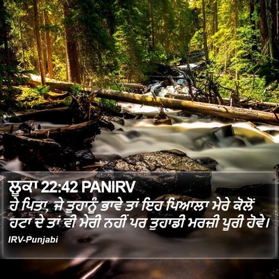 ਲੂਕਾ 22:42 PANIRV Bible Verse Image