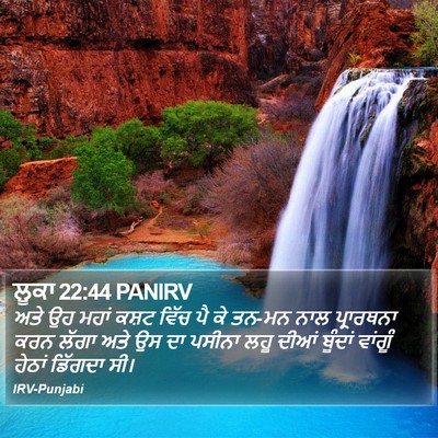 ਲੂਕਾ 22:44 PANIRV Bible Verse Image