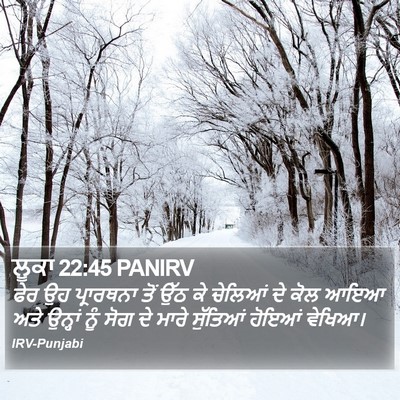 ਲੂਕਾ 22:45 PANIRV Bible Verse Image