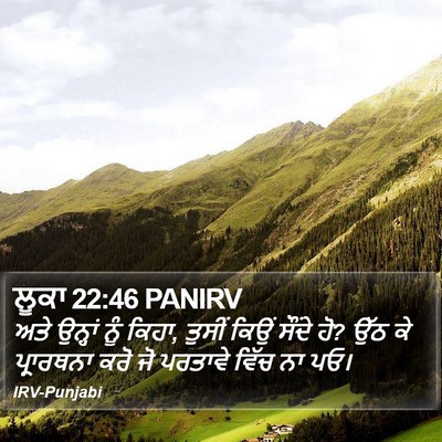 ਲੂਕਾ 22:46 PANIRV Bible Verse Image