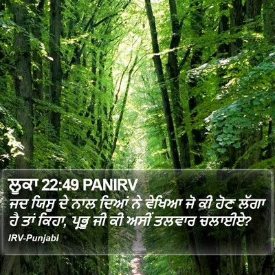 ਲੂਕਾ 22:49 PANIRV Bible Verse Image