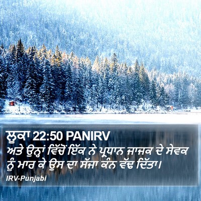 ਲੂਕਾ 22:50 PANIRV Bible Verse Image