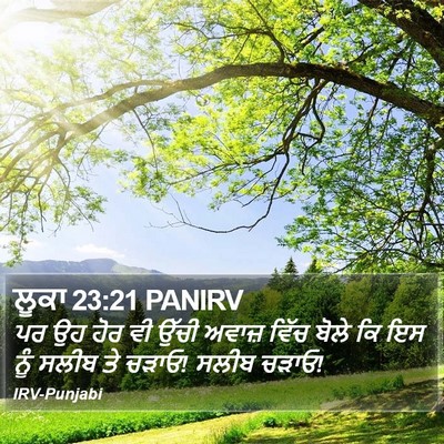 ਲੂਕਾ 23:21 PANIRV Bible Verse Image