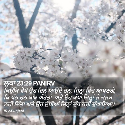 ਲੂਕਾ 23:29 PANIRV Bible Verse Image