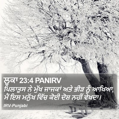 ਲੂਕਾ 23:4 PANIRV Bible Verse Image