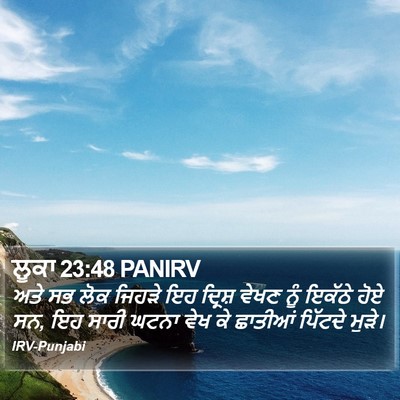 ਲੂਕਾ 23:48 PANIRV Bible Verse Image