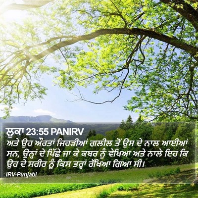 ਲੂਕਾ 23:55 PANIRV Bible Verse Image