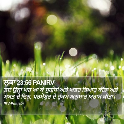 ਲੂਕਾ 23:56 PANIRV Bible Verse Image
