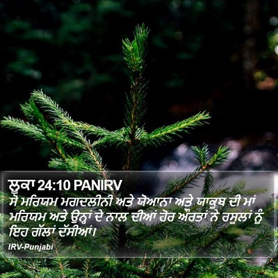 ਲੂਕਾ 24:10 PANIRV Bible Verse Image