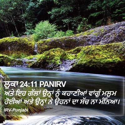 ਲੂਕਾ 24:11 PANIRV Bible Verse Image