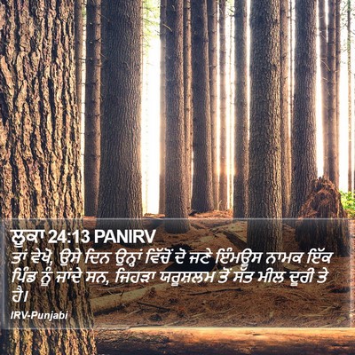 ਲੂਕਾ 24:13 PANIRV Bible Verse Image