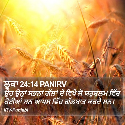 ਲੂਕਾ 24:14 PANIRV Bible Verse Image