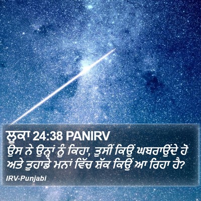 ਲੂਕਾ 24:38 PANIRV Bible Verse Image