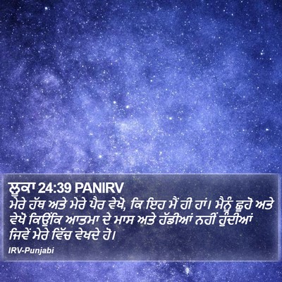 ਲੂਕਾ 24:39 PANIRV Bible Verse Image