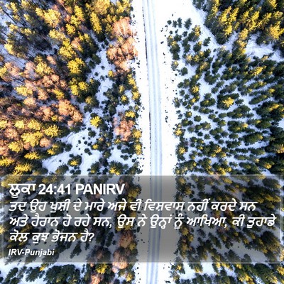 ਲੂਕਾ 24:41 PANIRV Bible Verse Image