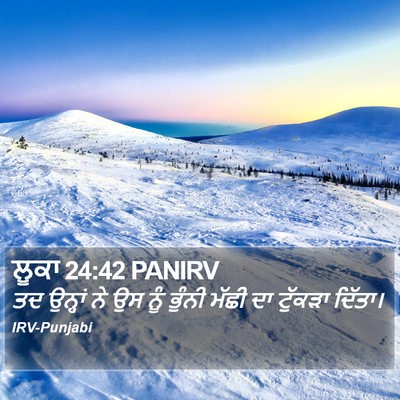 ਲੂਕਾ 24:42 PANIRV Bible Verse Image