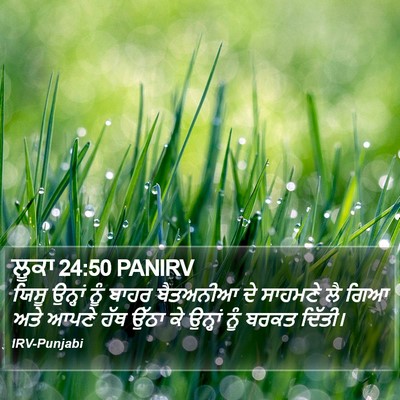ਲੂਕਾ 24:50 PANIRV Bible Verse Image