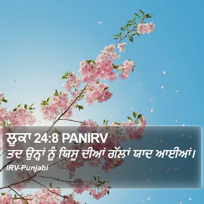 ਲੂਕਾ 24:8 PANIRV Bible Verse Image