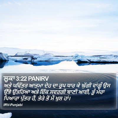 ਲੂਕਾ 3:22 PANIRV Bible Verse Image