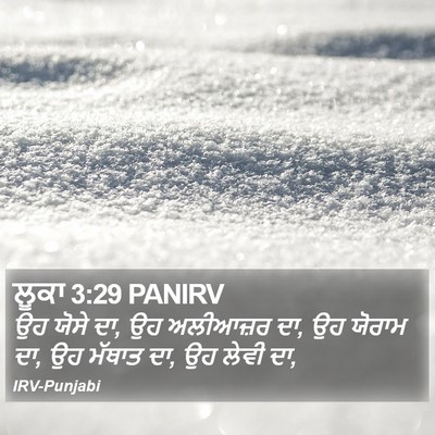 ਲੂਕਾ 3:29 PANIRV Bible Verse Image