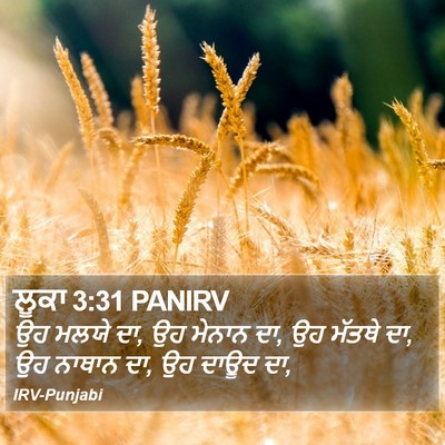 ਲੂਕਾ 3:31 PANIRV Bible Verse Image