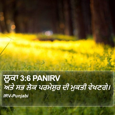 ਲੂਕਾ 3:6 PANIRV Bible Verse Image